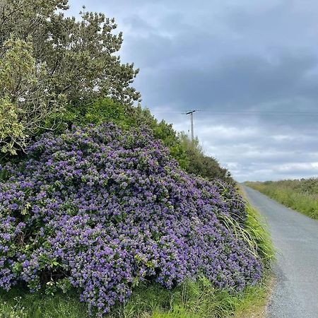 Luxury Wild Atlantic Way Accommodation With Sea Views And Free Wifi Bruckless Eksteriør bilde