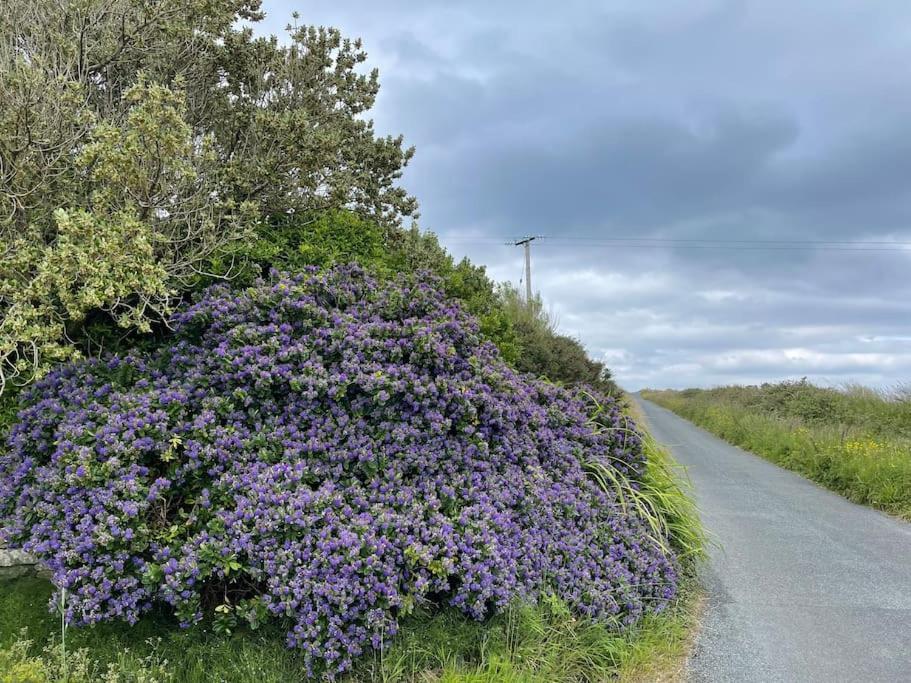 Luxury Wild Atlantic Way Accommodation With Sea Views And Free Wifi Bruckless Eksteriør bilde